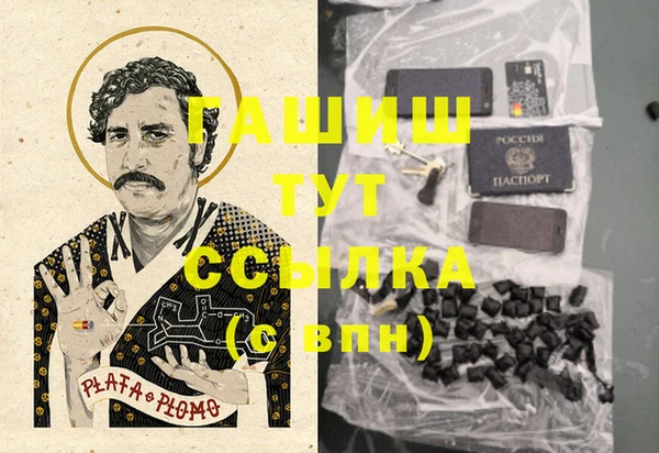 сатива Тобольск